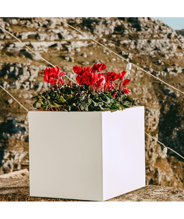 VAso Cube Monacis multicolore