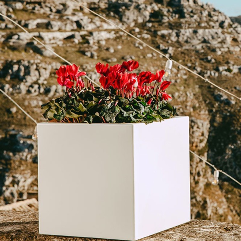 VAso Cube Monacis multicolore VAso Cube Monacis multicolore