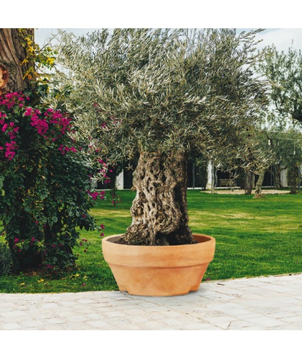 vaso per esterno Ururs monacis