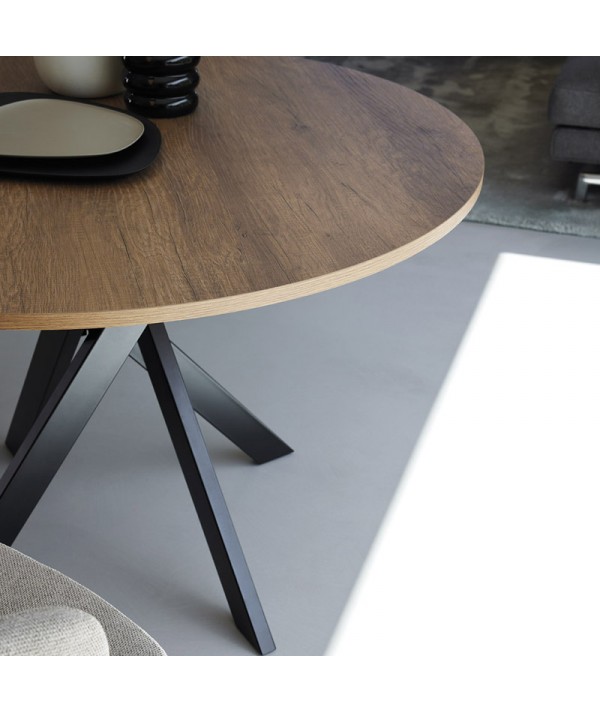 Tavolo Fisso Giotto in Royal Oak