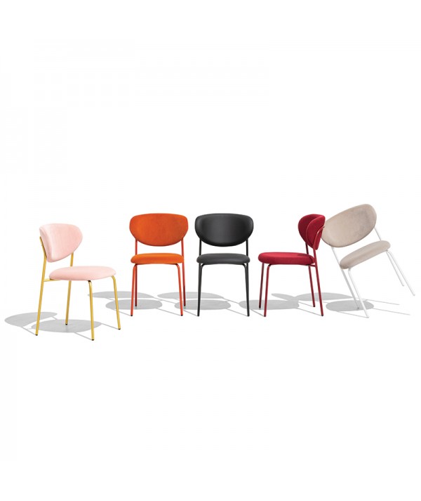 Sedia Cozy cartella colori connubia